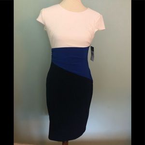 NTW Ralph Lauren dress. Size 4 petite